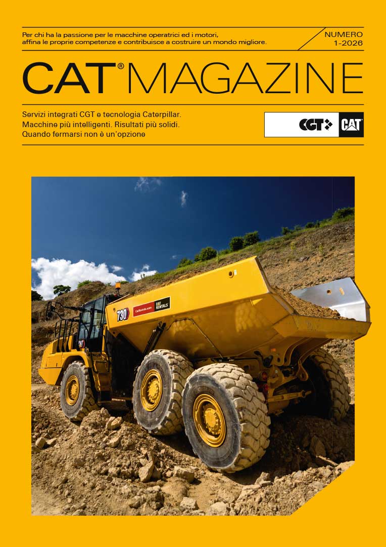 Cat Magazine Customized Covers